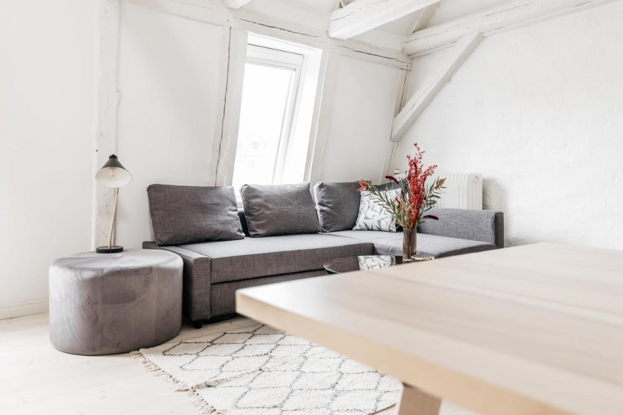 Apartment Cosy Studio Next To Kultorvet